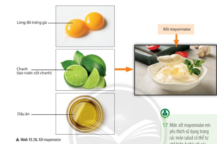 Lý thuyết Khoa học tự nhiên 6 Bài 15: Chất tinh khiết – hỗn hợp | Chân trời sáng tạo