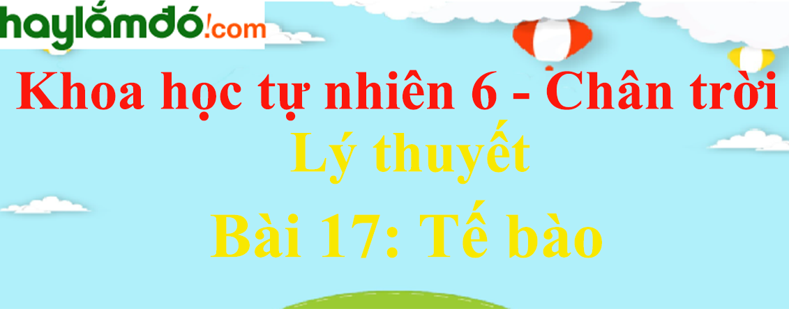 Lý thuyết Khoa học tự nhiên 6 Bài 17: Tế bào | Chân trời sáng tạo