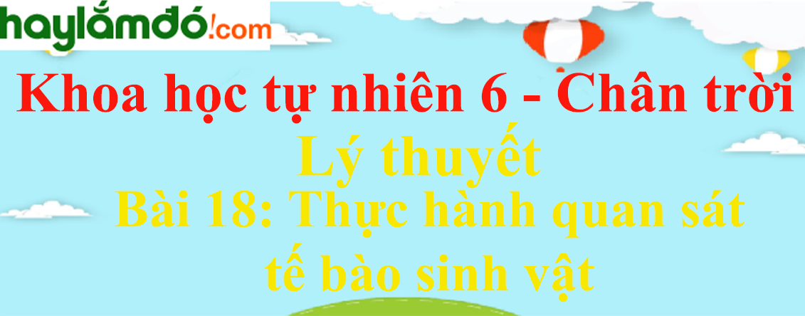 Lý thuyết Khoa học tự nhiên 6 Bài 18: Thực hành quan sát tế bào sinh vật | Chân trời sáng tạo