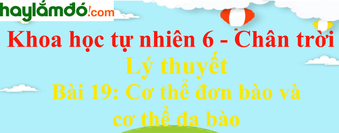 Lý thuyết Khoa học tự nhiên 6 Bài 19: Cơ thể đơn bào và cơ thể đa bào | Chân trời sáng tạo