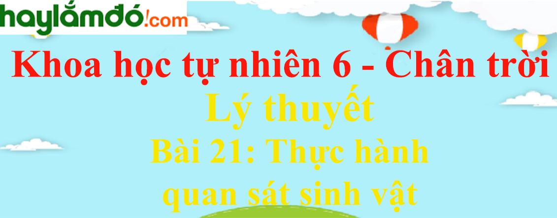 Lý thuyết Khoa học tự nhiên 6 Bài 21: Thực hành quan sát sinh vật | Chân trời sáng tạo