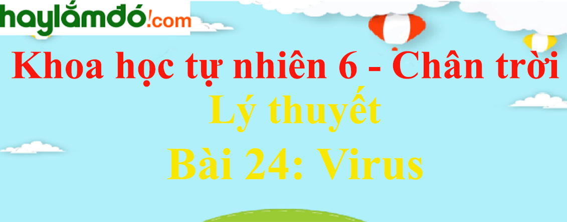 Lý thuyết Khoa học tự nhiên 6 Bài 24: Virus | Chân trời sáng tạo