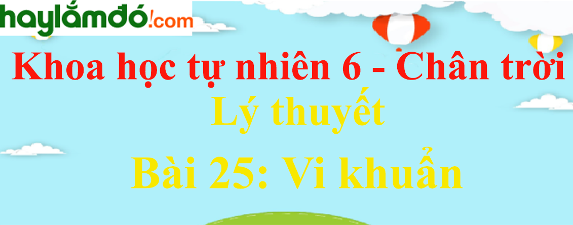 Lý thuyết Khoa học tự nhiên 6 Bài 25: Vi khuẩn | Chân trời sáng tạo