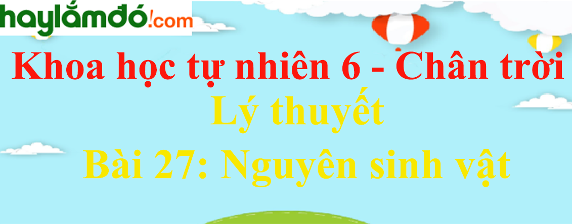 Lý thuyết Khoa học tự nhiên 6 Bài 27: Nguyên sinh vật | Chân trời sáng tạo