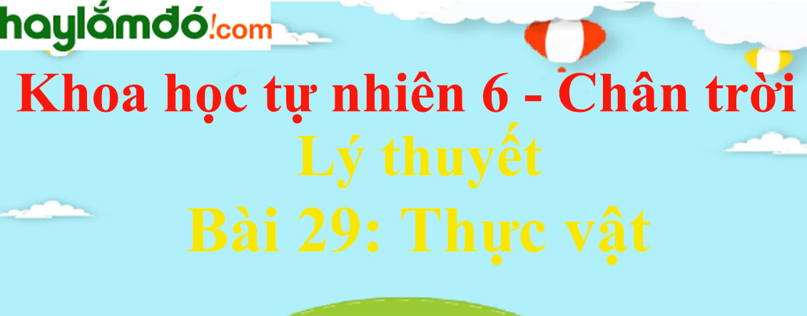 Lý thuyết Khoa học tự nhiên 6 Bài 29: Thực vật | Chân trời sáng tạo