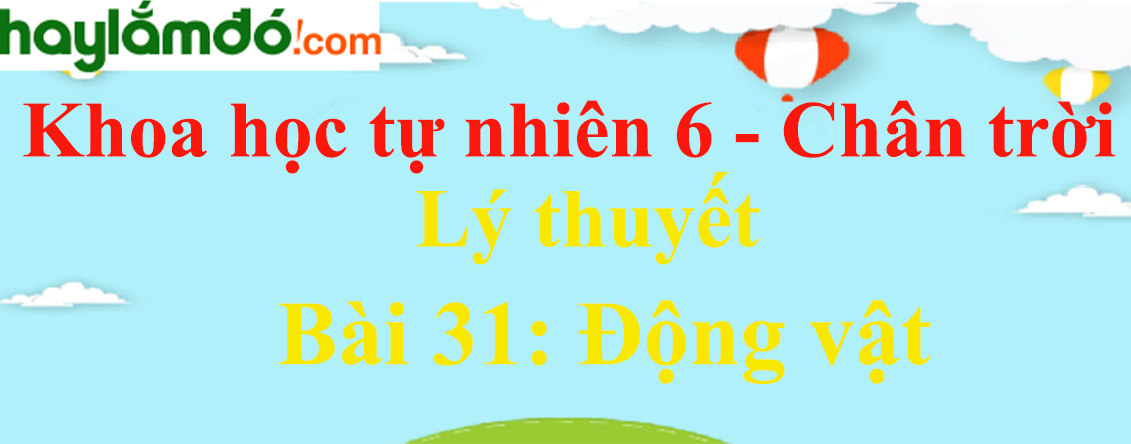 Lý thuyết Khoa học tự nhiên 6 Bài 31: Động vật | Chân trời sáng tạo