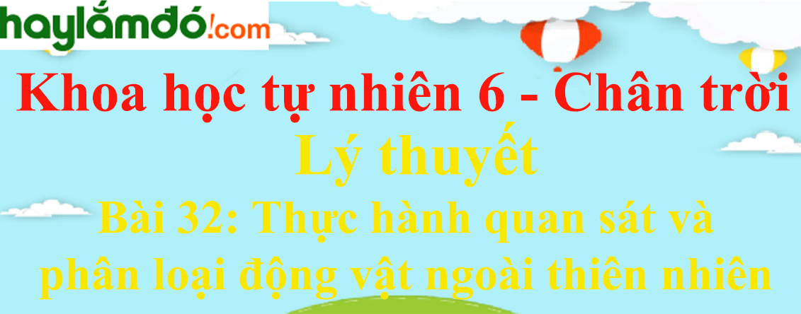 Lý thuyết Khoa học tự nhiên 6 Bài 32: Thực hành quan sát và phân loại động vật ngoài thiên nhiên | Chân trời sáng tạo