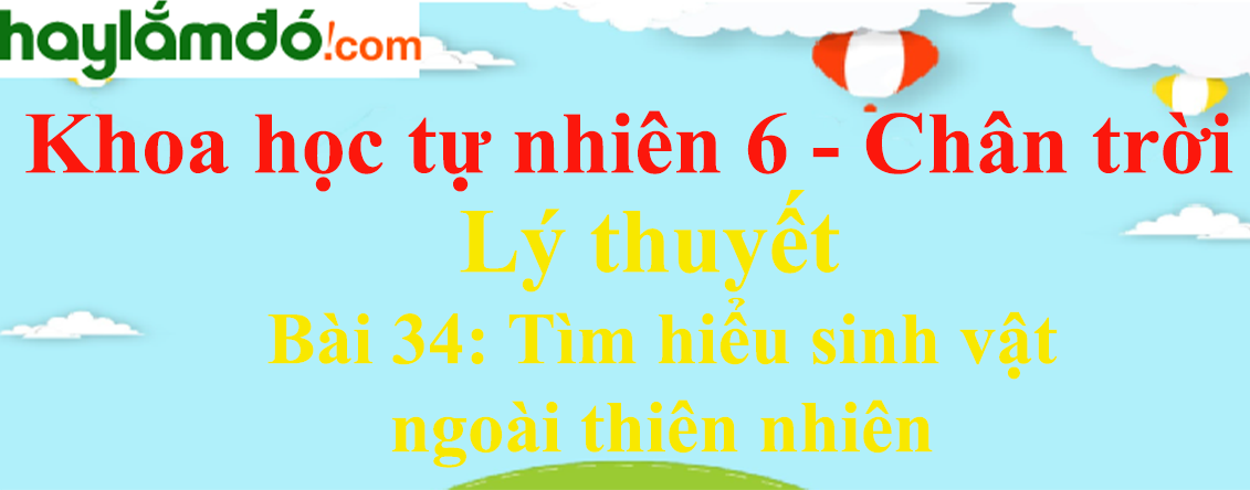 Lý thuyết Khoa học tự nhiên 6 Bài 34: Tìm hiểu sinh vật ngoài thiên nhiên | Chân trời sáng tạo