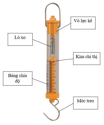 Lý thuyết Khoa học tự nhiên 6 Bài 39: Biến dạng của lò xo. Phép đo lực | Chân trời sáng tạo