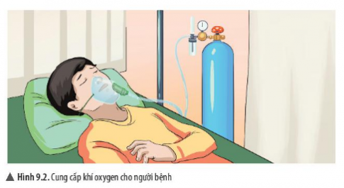 Lý thuyết Khoa học tự nhiên 6 Bài 9: Oxygen | Chân trời sáng tạo