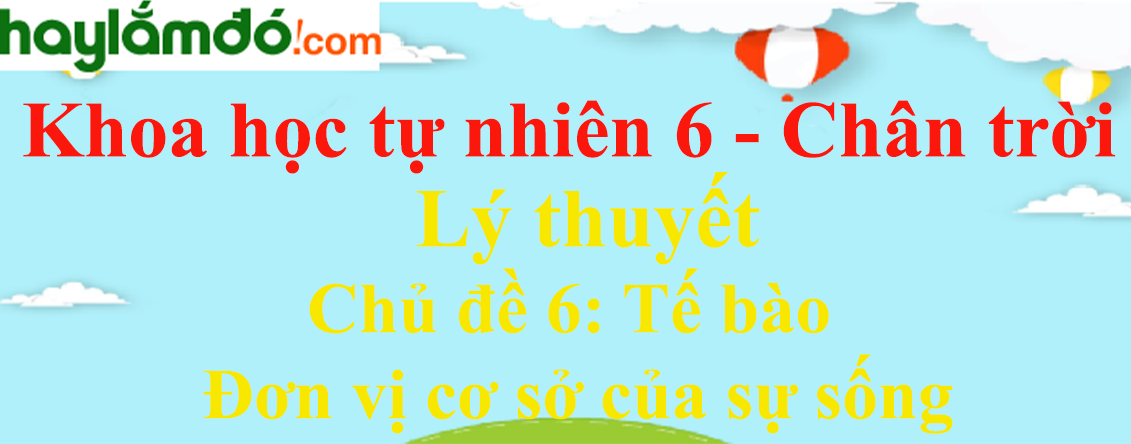 Lý thuyết Khoa học tự nhiên 6 Chủ đề 6: Tế bào – Đơn vị cơ sở của sự sống | Chân trời sáng tạo