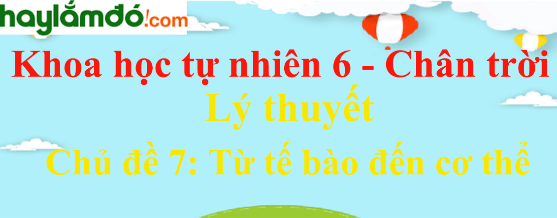 Lý thuyết Khoa học tự nhiên 6 Chủ đề 7: Từ tế bào đến cơ thể | Chân trời sáng tạo