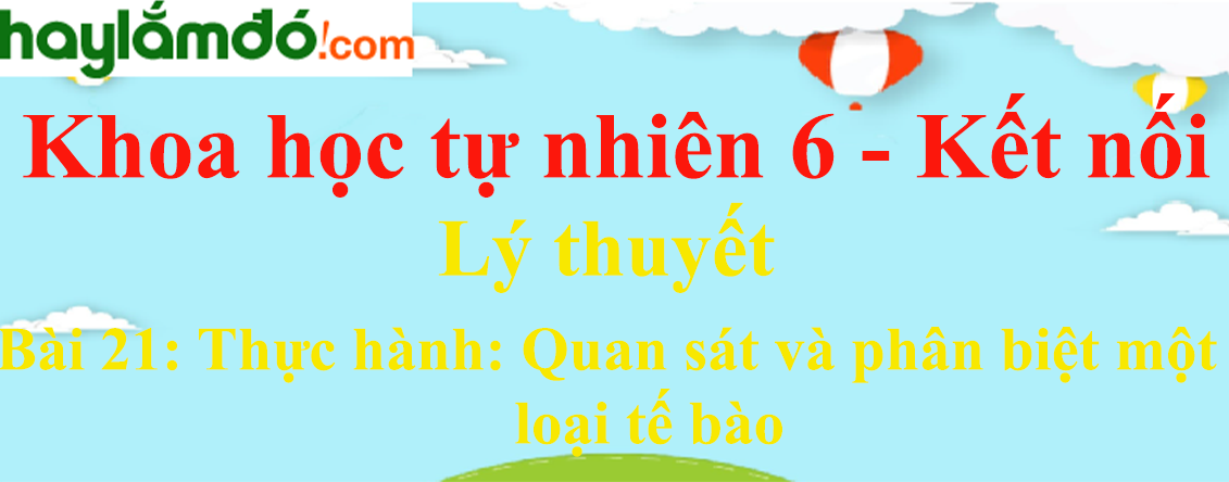 Bài 21: Thực hành: Quan sát và phân biệt một số loại tế bào - Kết nối tri thức Ngữ văn lớp 6