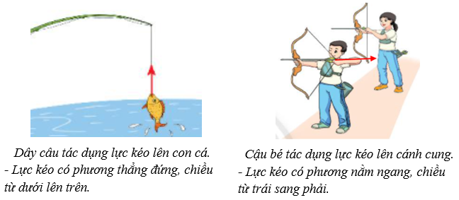 Biểu diễn lực | Kết nối tri thức