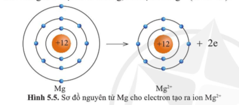 Quan sát hình 5.5, hãy so sánh về số electron, số lớp electron giữa nguyên tử Mg và ion Mg2+