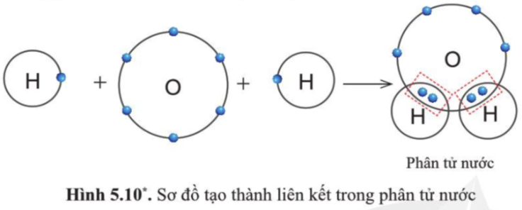 Quan sát hình 5.10, cho biết trong phân tử nước, mỗi nguyên tử H và O