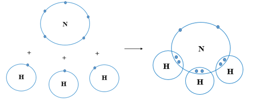 Mỗi nguyên tử N kết hợp với 3 nguyên tử H tạo thành phân tử ammonia