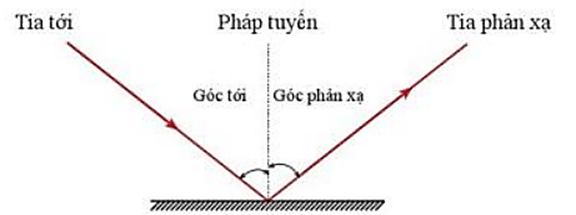 Lý thuyết KHTN 7 Cánh diều Bài 13: Sự phản xạ ánh sáng