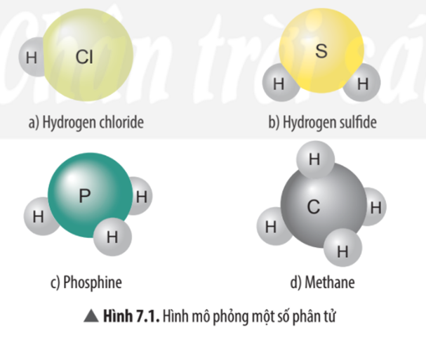 Hãy cho biết mỗi nguyên tử của nguyên tố Cl, S, P, C trong các phân tử ở Hình 7.1