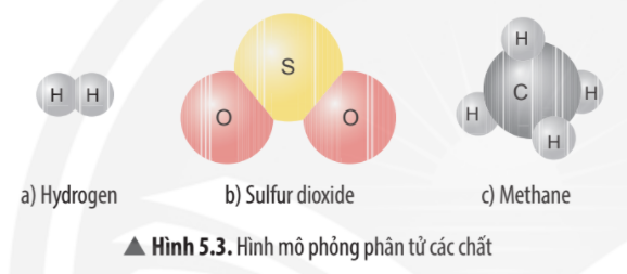 Em hãy đề xuất cách tính khối lượng phân tử của mỗi chất ở Hình 5.3