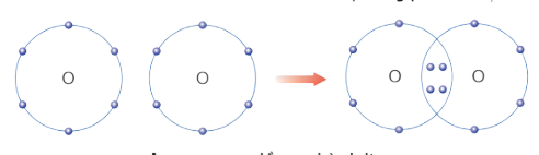 Em hãy mô tả quá trình tạo thành liên kết cộng hóa trị trong phân tử hydrogen và oxygen