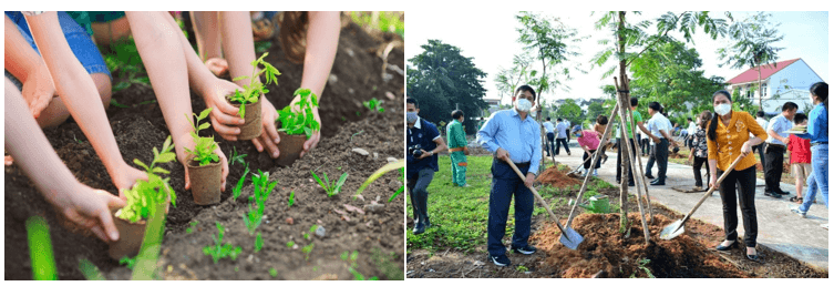 Lý thuyết KHTN 7 Chân trời sáng Bài 23: Quang hợp ở thực vật | Khoa học tự nhiên 7 (ảnh 15)