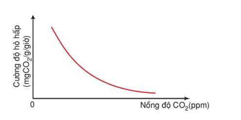 Lý thuyết KHTN 7 Chân trời sáng Bài 25: Hô hấp tế bào | Khoa học tự nhiên 7