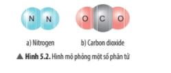 Lý thuyết KHTN 7 Chân trời sáng tạo Bài 5: Phân tử - Đơn chất – Hợp chất