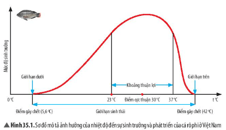 Trắc nghiệm KHTN 7 Chân trời sáng tạo Bài 35 (có đáp án): Các nhân tố ảnh hưởng đến sinh trưởng và phát triển của sinh vật | Khoa học tự nhiên 7