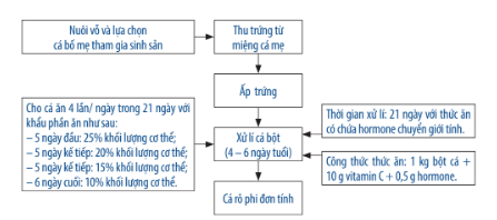 Trắc nghiệm KHTN 7 Chân trời sáng tạo Bài 38 (có đáp án): Các yếu tố ảnh hưởng đến sinh sản và điều hoà, điều khiển sinh sản ở sinh vật | Khoa học tự nhiên 7