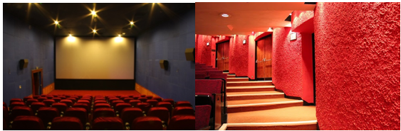 Tại sao tường của nhà hát, phòng hòa nhạc, rạp chiếu phim thường được làm sần sùi (ảnh 1)
