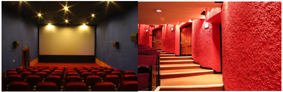 Tại sao tường của nhà hát, phòng hòa nhạc, rạp chiếu phim thường được làm sần sùi (ảnh 5)