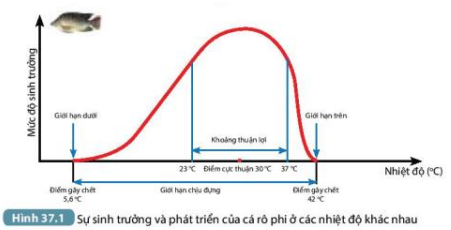 Nhiệt độ thuận lợi nhất cho sự sinh trưởng và phát triển của cá rô phi là bao nhiêu? (ảnh 1)