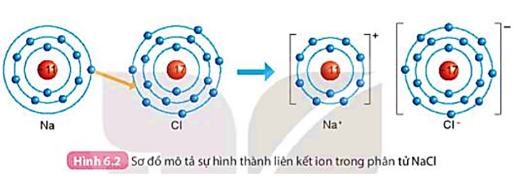 Quan sát Hình 6.2 và so sánh số electron ở lớp ngoài cùng của nguyên tử Na, Cl (ảnh 1)