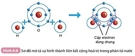 Quan sát Hình 6.6 và cho biết khi nguyên tử O liên kết với hai nguyên tử H (ảnh 1)