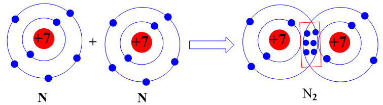 Hãy mô tả sự hình thành liên kết cộng hóa trị trong phân tử khí chlorine, khí nitrogen (ảnh 1)