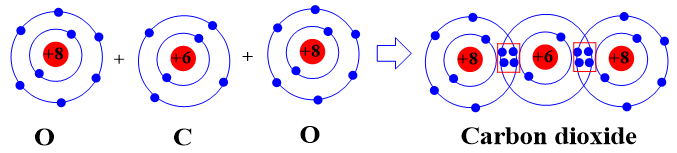 Hãy mô tả sự hình thành liên kết cộng hóa trị trong phân tử carbon dioxide, ammonia (ảnh 1)
