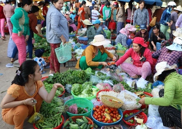 Lý thuyết KHTN 7 Kết nối tri thức Bài 14: Phản xạ âm, chống ô nhiễm tiếng ồn