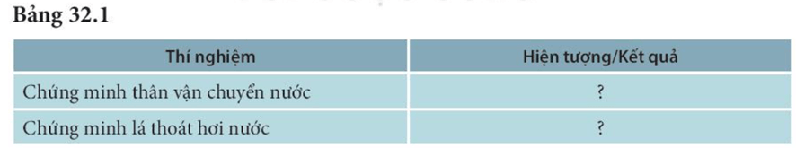 Lý thuyết KHTN 7 Kết nối tri thức Bài 32: Thực hành: Chứng minh thân vận chuyển nước và lá thoát hơi nước