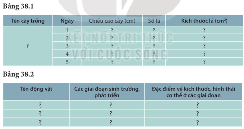 Lý thuyết KHTN 7 Kết nối tri thức Bài 38: Thực hành: Quan sát, mô tả sự sinh trưởng và phát triển ở một số sinh vật