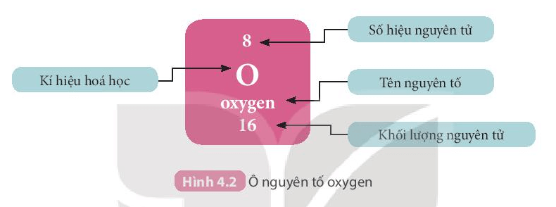 Lý thuyết KHTN 7 Kết nối tri thức Bài 4: Sơ lược về bảng tuần hoàn các nguyên tố hóa học