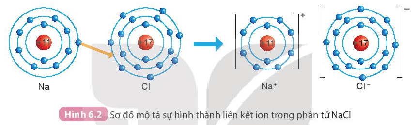 Lý thuyết KHTN 7 Kết nối tri thức Bài 6: Giới thiệu về liên kết hóa học