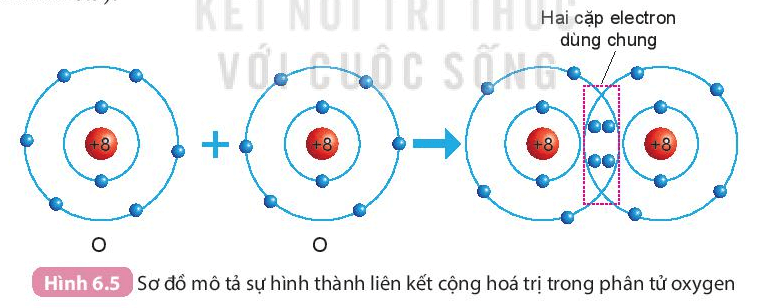 Lý thuyết KHTN 7 Kết nối tri thức Bài 6: Giới thiệu về liên kết hóa học