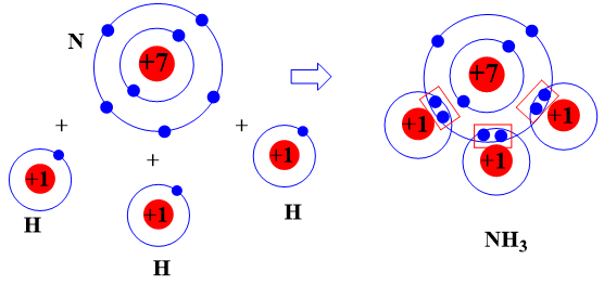 Trắc nghiệm KHTN 7 Kết nối tri thức Bài 6 (có đáp án): Giới thiệu về liên kết hóa học (ảnh 1)