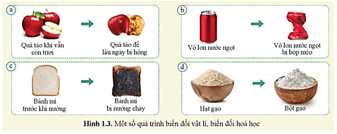 Quan sát hình 1.3 và cho biết quá trình nào diễn ra sự biến đổi vật lí quá trình nào diễn ra sự biến đổi hoá học