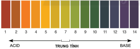 Lý thuyết KHTN 8 Cánh diều Bài 10: Thang pH