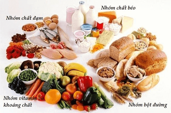 Lý thuyết KHTN 8 Cánh diều Bài 29: Dinh dưỡng và tiêu hóa ở người