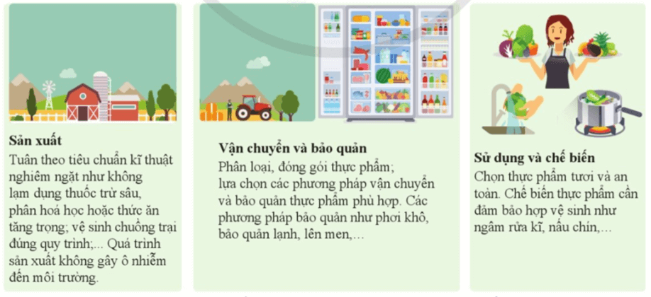 Lý thuyết KHTN 8 Cánh diều Bài 29: Dinh dưỡng và tiêu hóa ở người