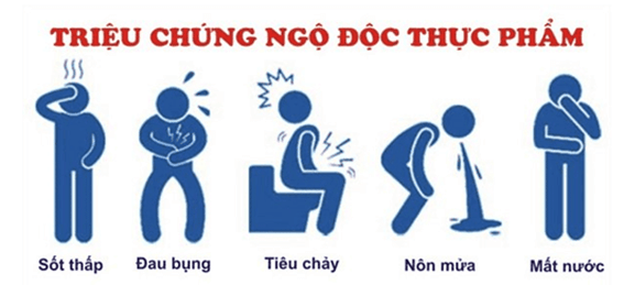 Lý thuyết KHTN 8 Cánh diều Bài 29: Dinh dưỡng và tiêu hóa ở người