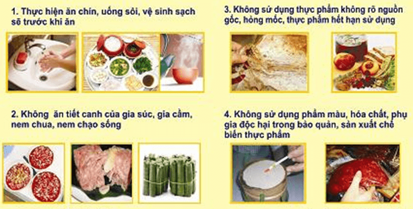 Lý thuyết KHTN 8 Cánh diều Bài 29: Dinh dưỡng và tiêu hóa ở người